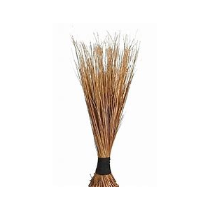 Brooms Igbale