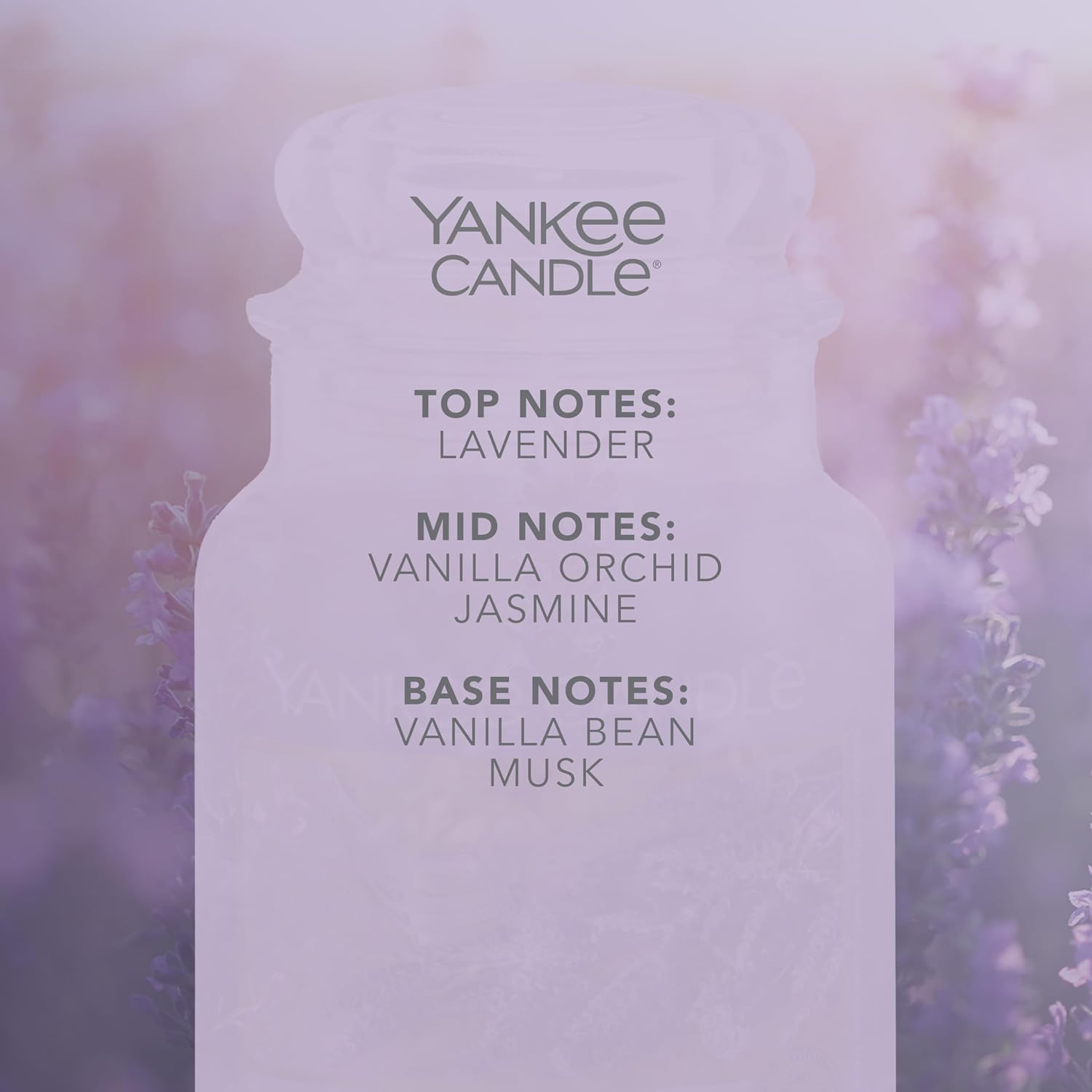 71rsZZCvRQL._AC_SL1500_.jpg 71rsZZCvRQL._AC_SL1500_.jpg