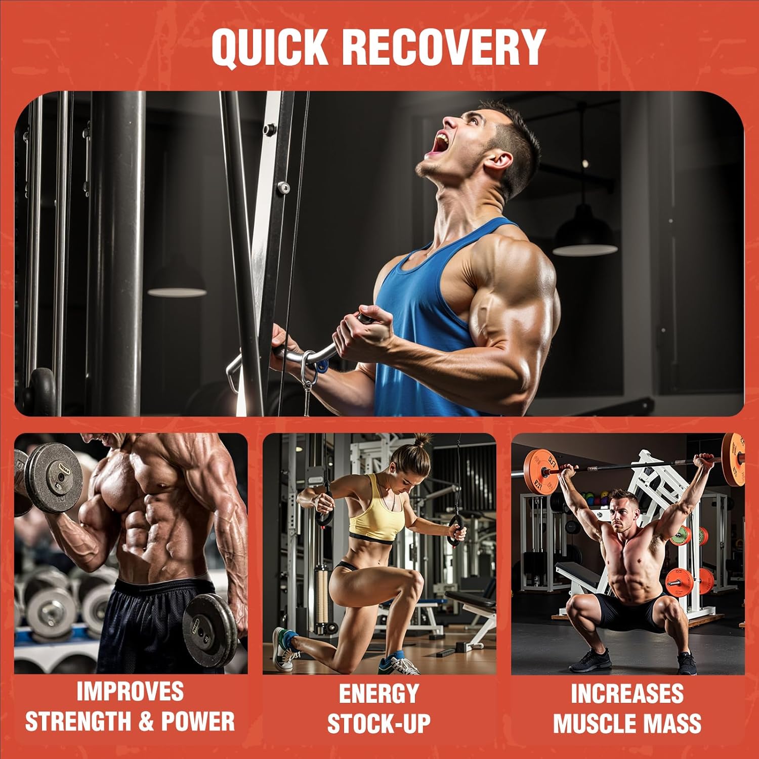 81i8WMZFf2L._AC_SL1500_.jpg 81i8WMZFf2L._AC_SL1500_.jpg