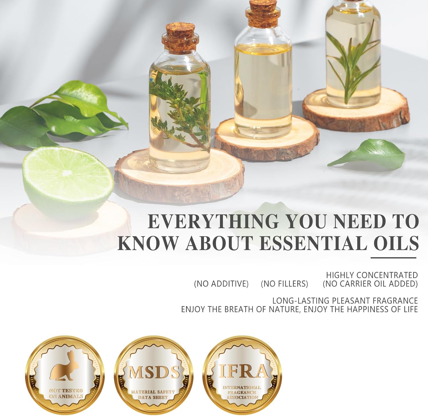 714qYebEFL._AC_SL1500_.jpg 714qYebEFL._AC_SL1500_.jpg